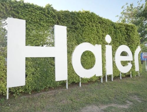 海爾在蕪湖成立新能源科技公司，布局AI與數據處理業務